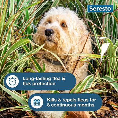 Small Dog Vet-Recommended Flea & Tick Treatment & Prevention Collar for Dogs Under 18 lbs. | 8 Months Protection