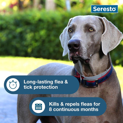 Flea & Tick Collar For Dogs Over 18 lbs., Treatment & Prevention, Vet-Recommend, 8 Month Protection