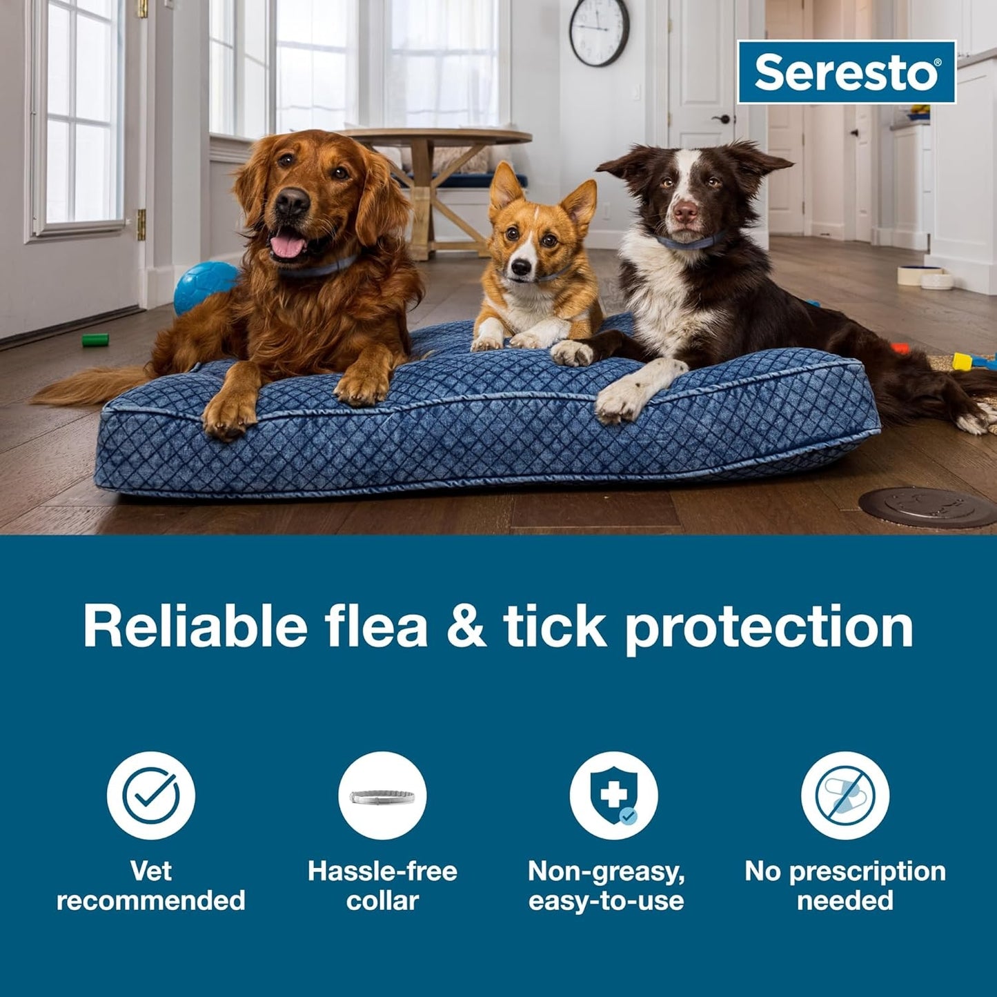 Small Dog Vet-Recommended Flea & Tick Treatment & Prevention Collar for Dogs Under 18 lbs. | 8 Months Protection